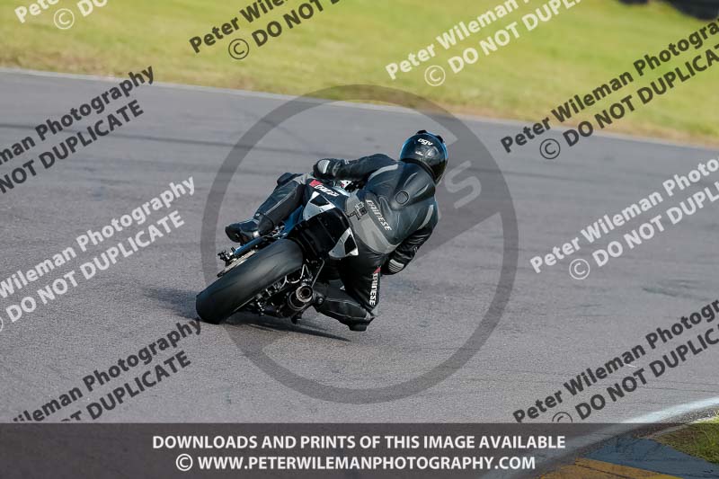 PJ Motorsport 2019;anglesey no limits trackday;anglesey photographs;anglesey trackday photographs;enduro digital images;event digital images;eventdigitalimages;no limits trackdays;peter wileman photography;racing digital images;trac mon;trackday digital images;trackday photos;ty croes